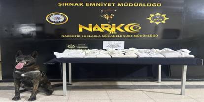 Şırnak'ta uyuşturucu ve kaçakçılık operasyonlarında 1 şüpheli tutuklandı