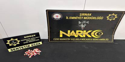 Şırnak’ta asayiş ve narkotik operasyonları düzenlendi