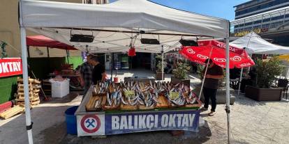 "Bu sene denizden balık fışkıracak"