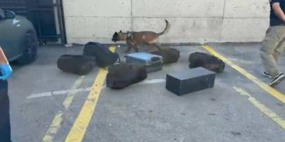 Narkotik köpeği valizde 21 bin sentetik ecza buldu