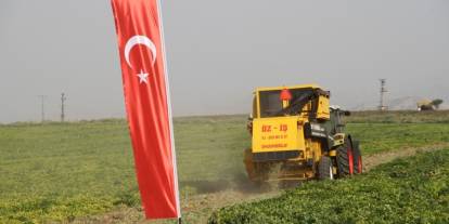 Silopi’de Yer Fıstığı Hasat Şenliği Başlıyor!