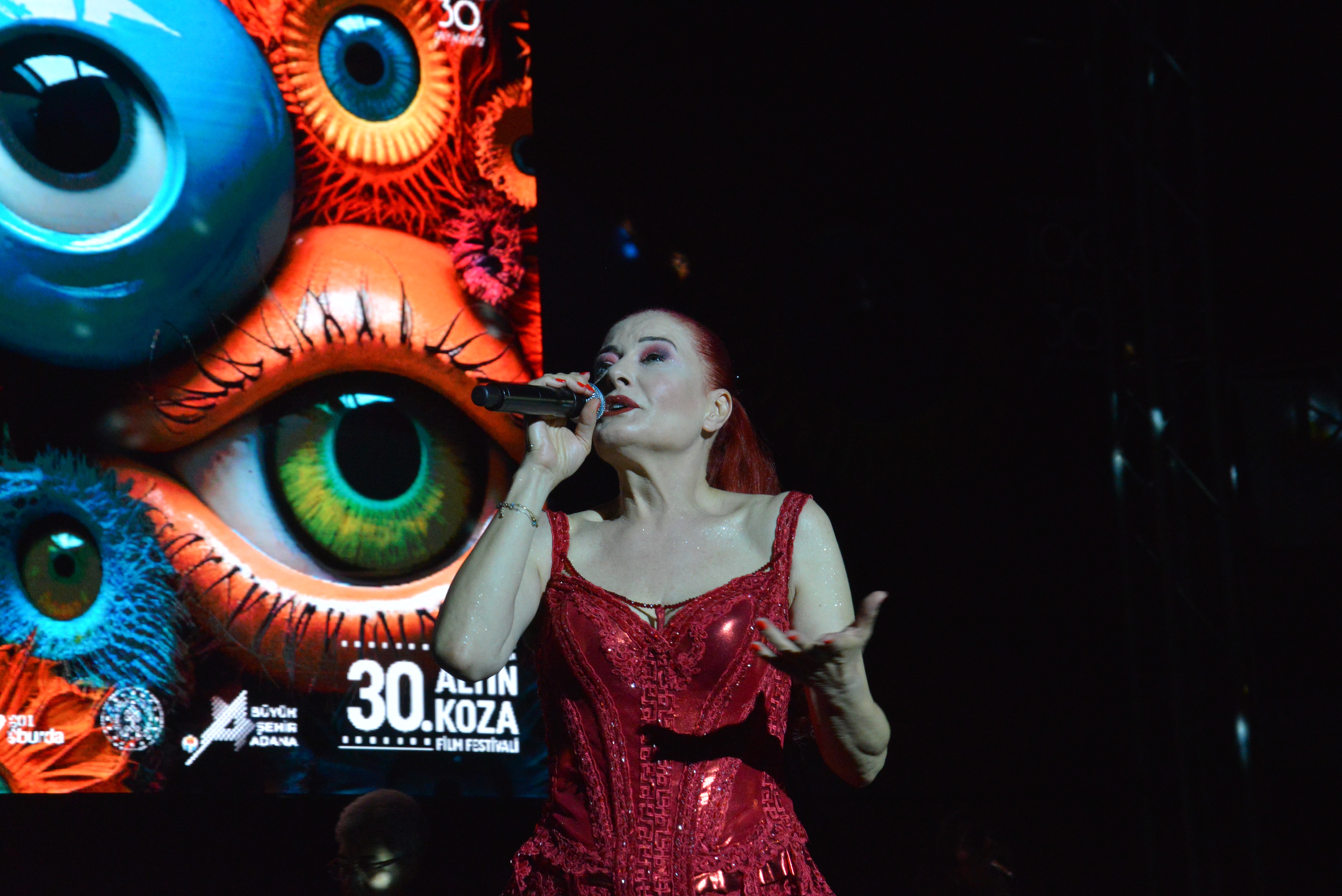 aw033370-02.jpg