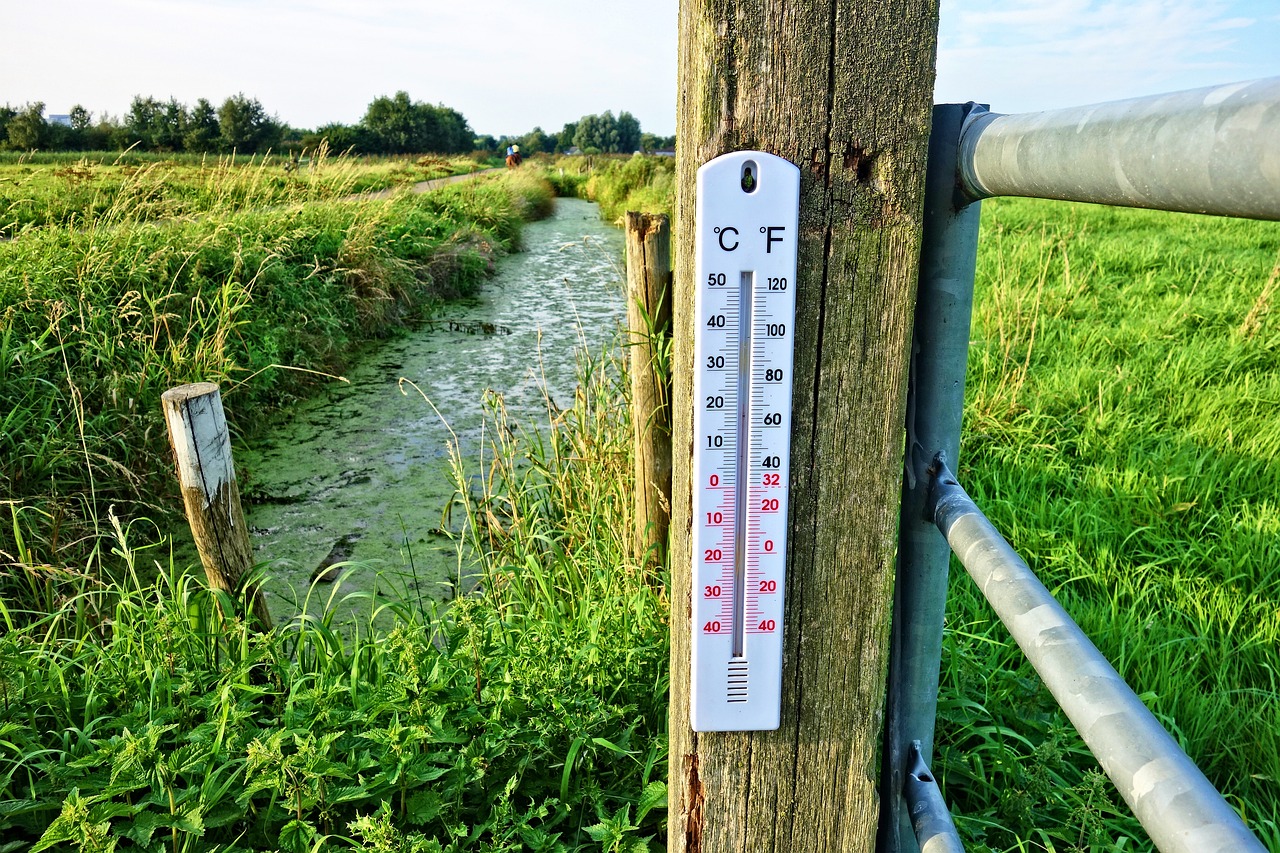 thermometer-2906817-1280.jpg