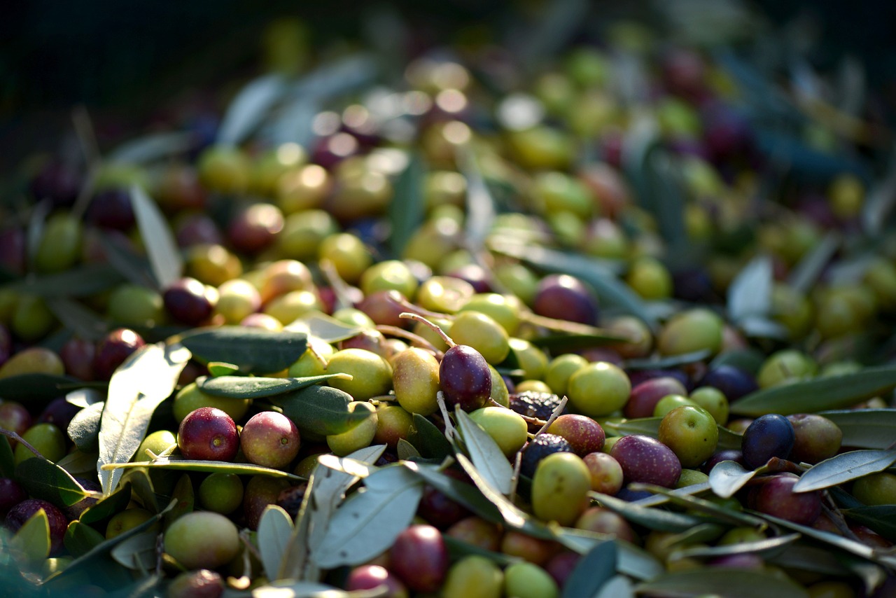 olives-253264-1280.jpg