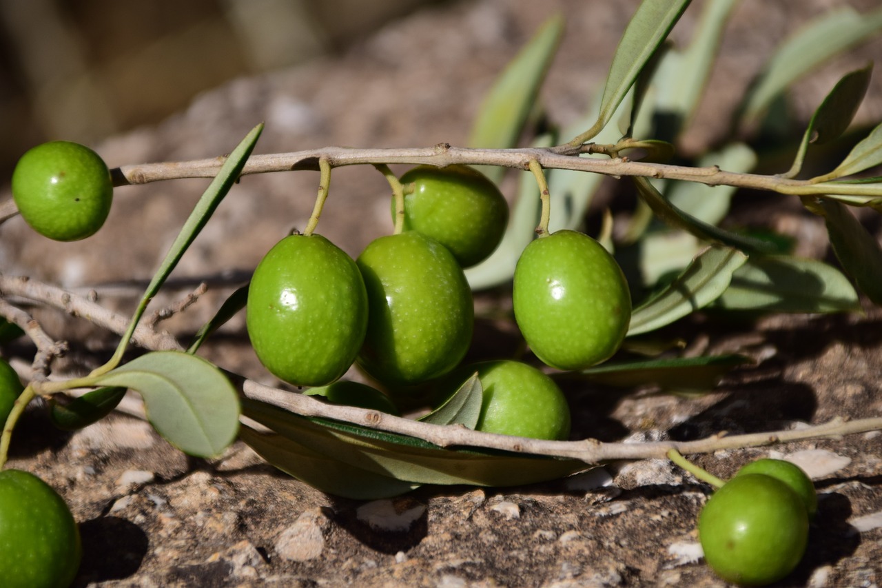 olives-1757221-1280.jpg