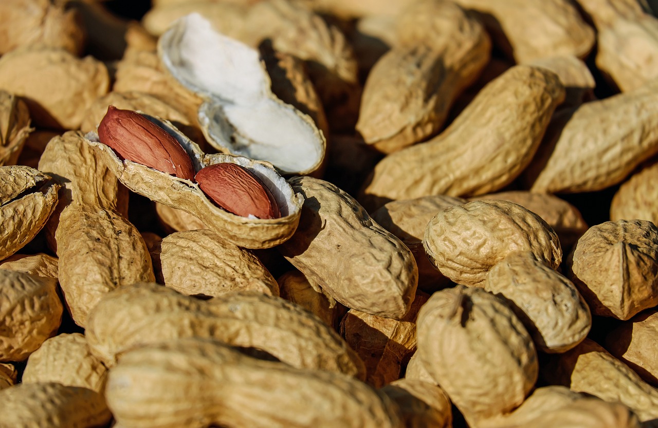 nuts-1736520-1280.jpg