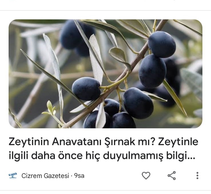 74f96fc6-a476-4e64-b86c-e2c673c56a0e.jpg
