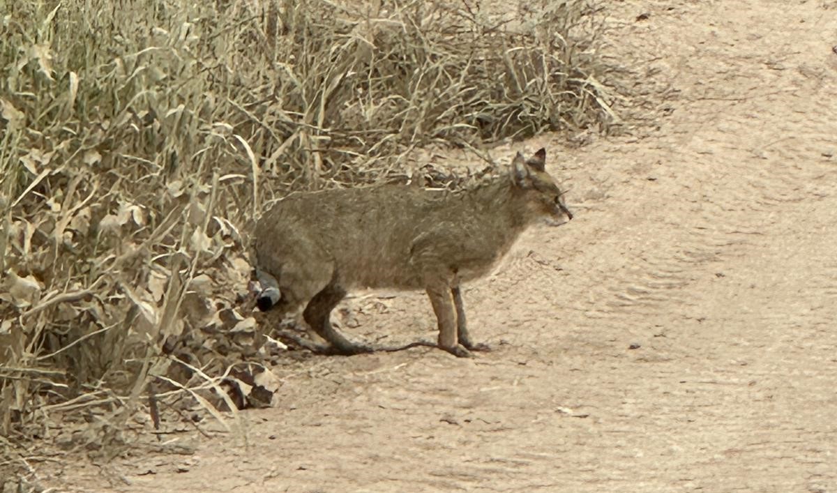 aw055678-02.jpg