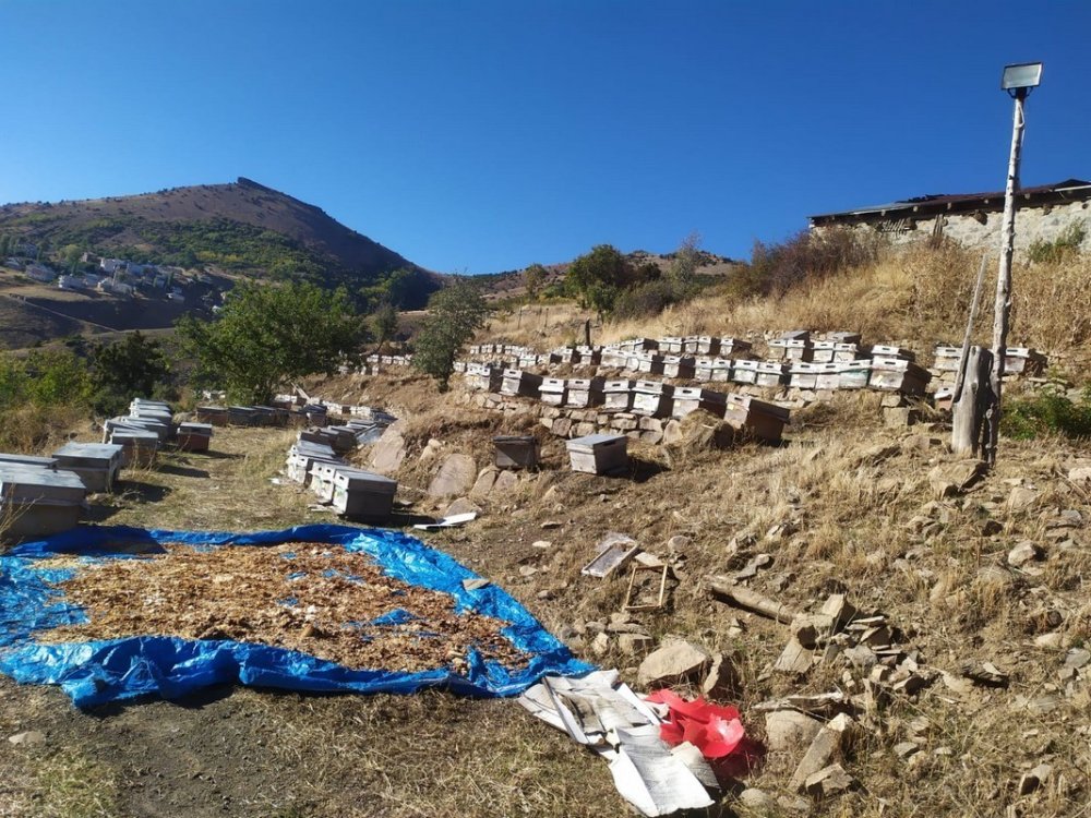 Bal tüketmek hayal olabilir. Uzmanlar da neye uğradığını şaşırdılar. İnceleme başlatıldı