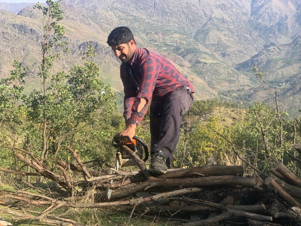 Sabahın erkek saatlerinde 1200 rakımda topluyorlar. Binlerce TL tasarruf sağlıyorlar