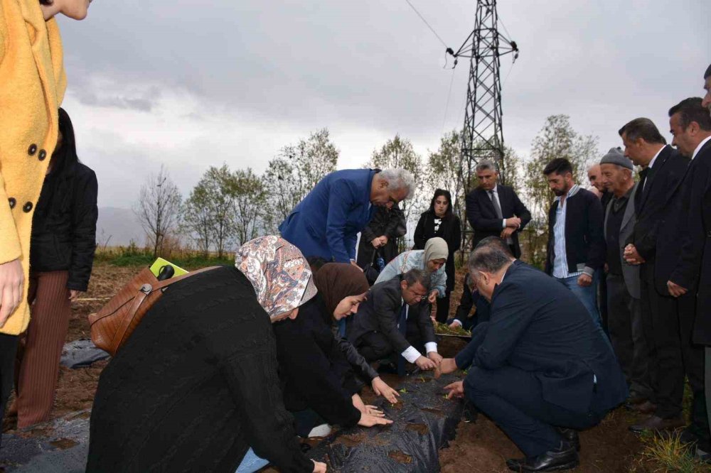 Hakkarili kadınlardan dikkat çeken girişim. Hasat ettikleri ürünleri tüm ülkeye satacaklar