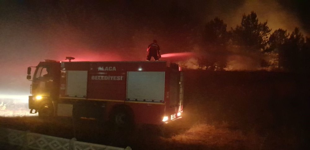 Çorum'un Alaca ilçesinde Anız yangını çamlık alana sıçradı