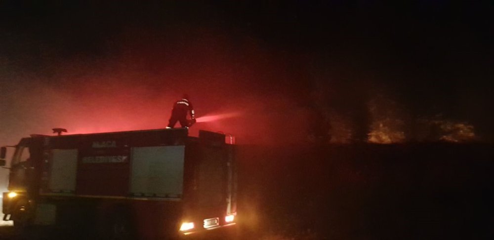 Çorum'un Alaca ilçesinde Anız yangını çamlık alana sıçradı