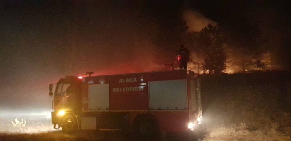 Çorum'un Alaca ilçesinde Anız yangını çamlık alana sıçradı