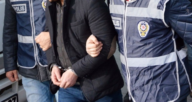 3480117.jpg