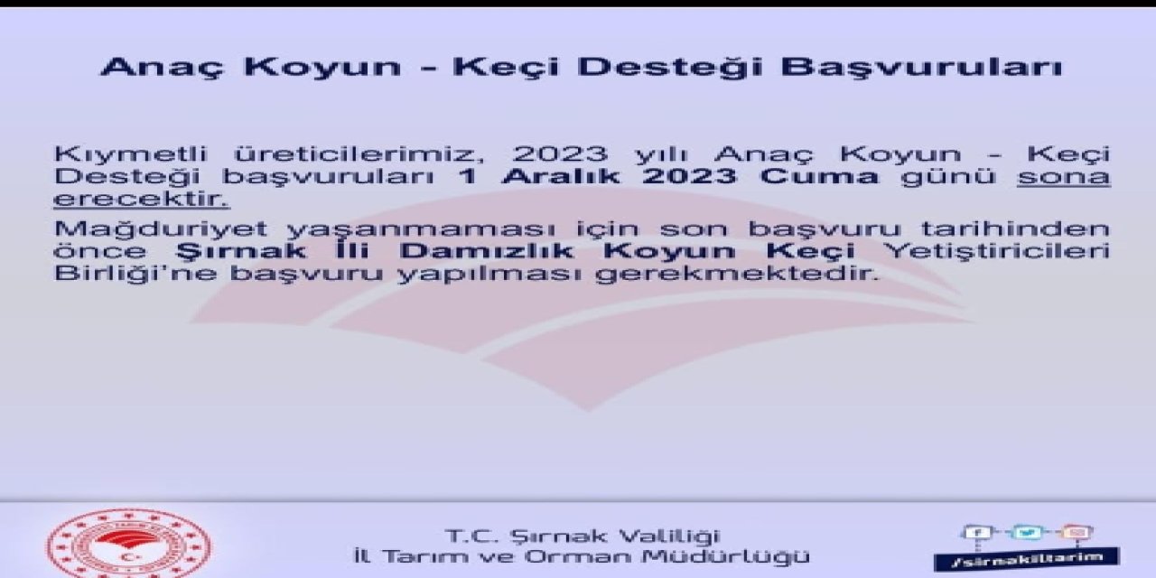 ekran-goruntusu-2023-11-28-001255.png