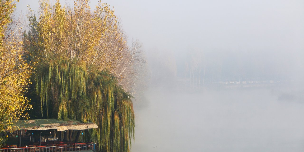 aw088916-12-001.jpg