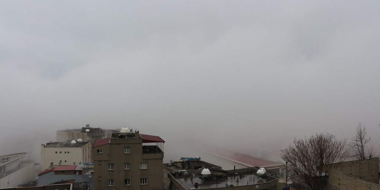 img-7202.jpg