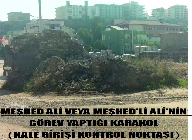 mehed-ali-1.jpg
