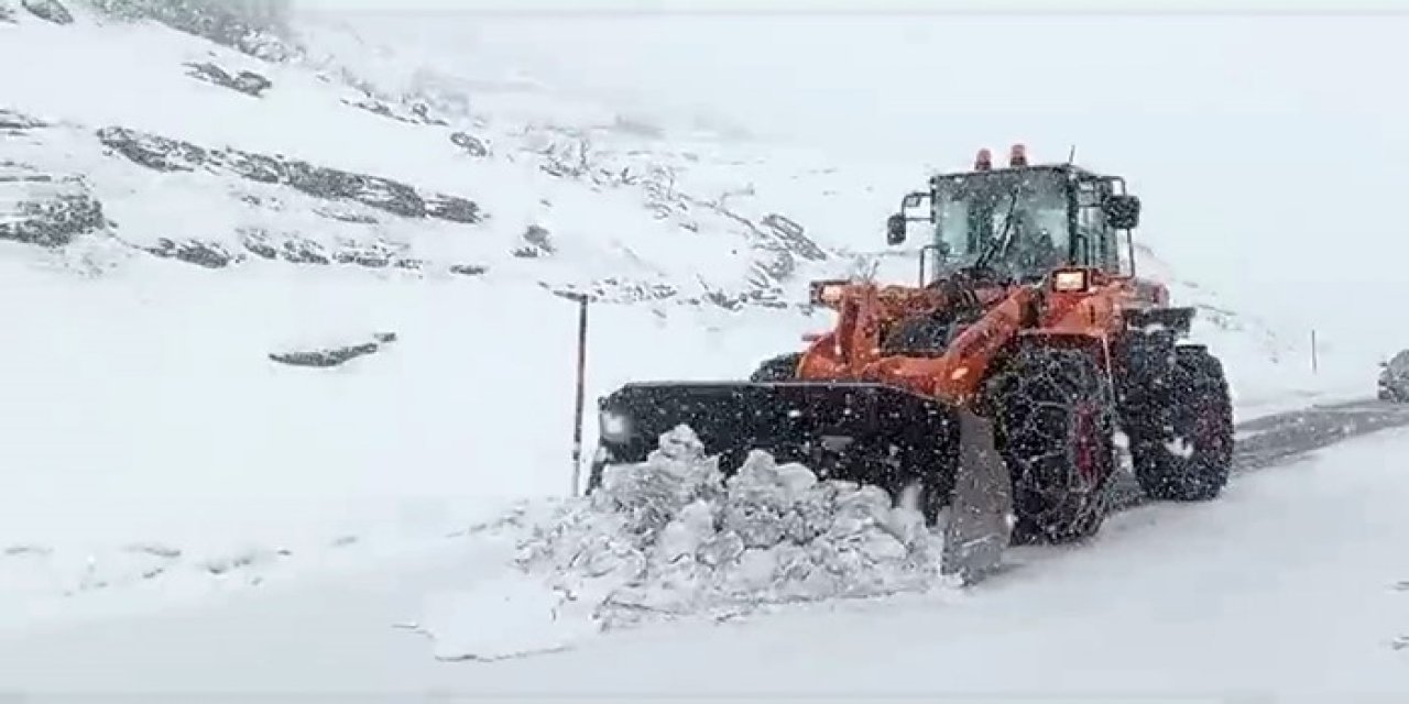 aw134565-01-001.jpg