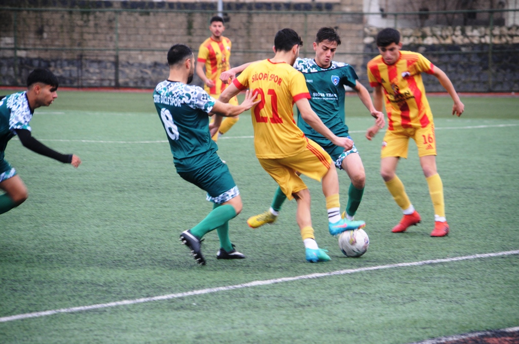 dsc-6584.jpg