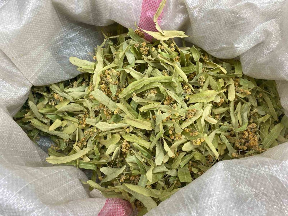 Ihlamurun kilosu 600 TL'ye dayandı! Artık minik paketlerle satılacak