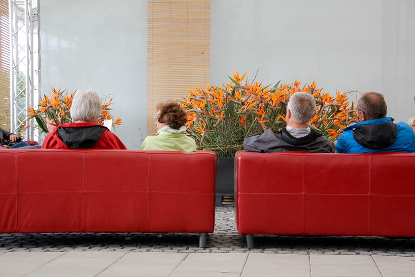 visitors-sofa-1405465-1280-m8dd.jpg