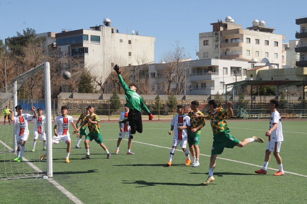 dsc-7848.jpg