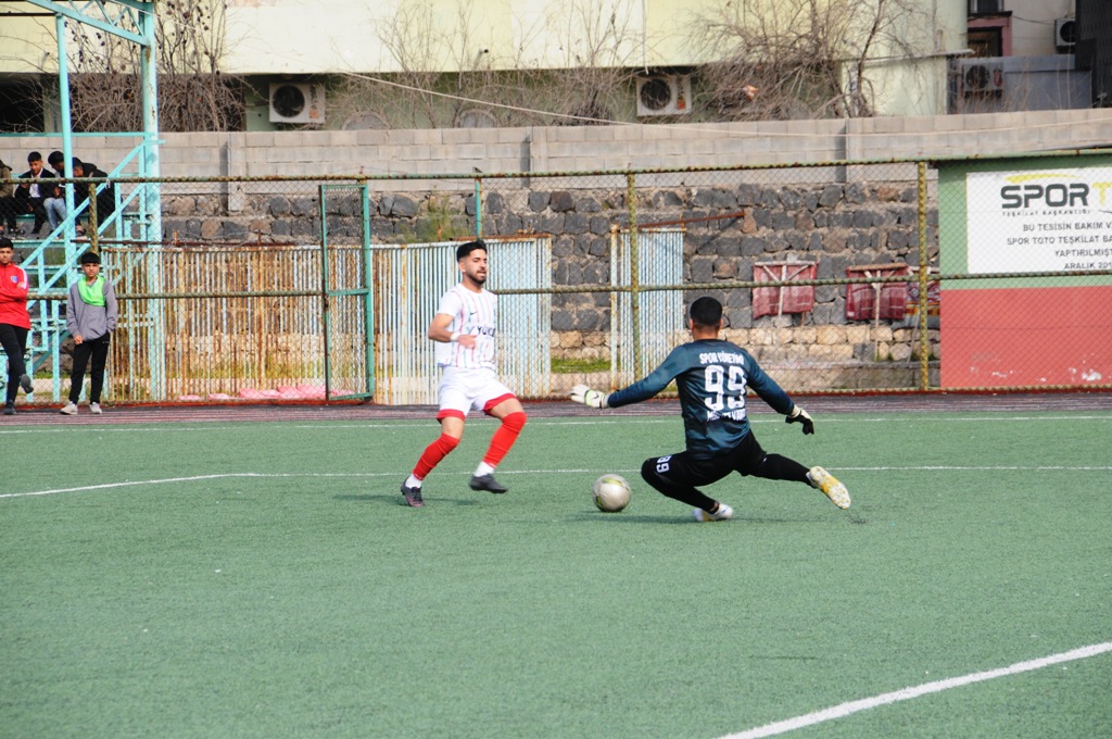dsc-8036.jpg