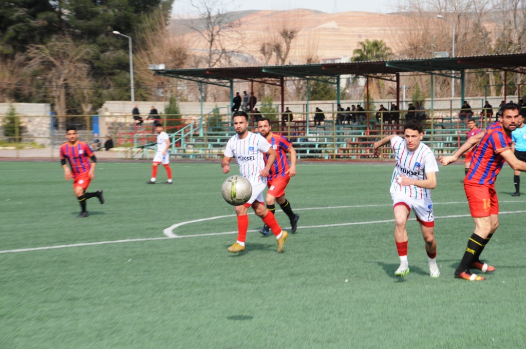 dsc-8039.jpg