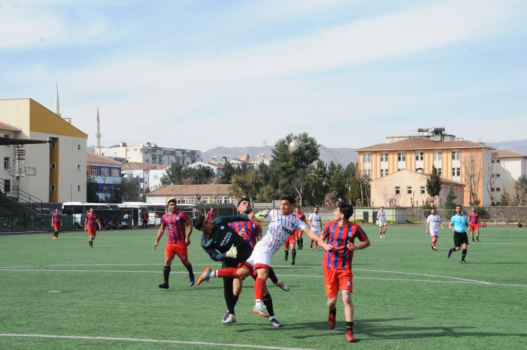 dsc-8046.jpg
