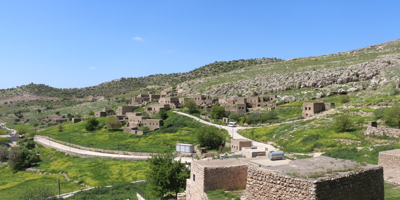 img-9430.jpg