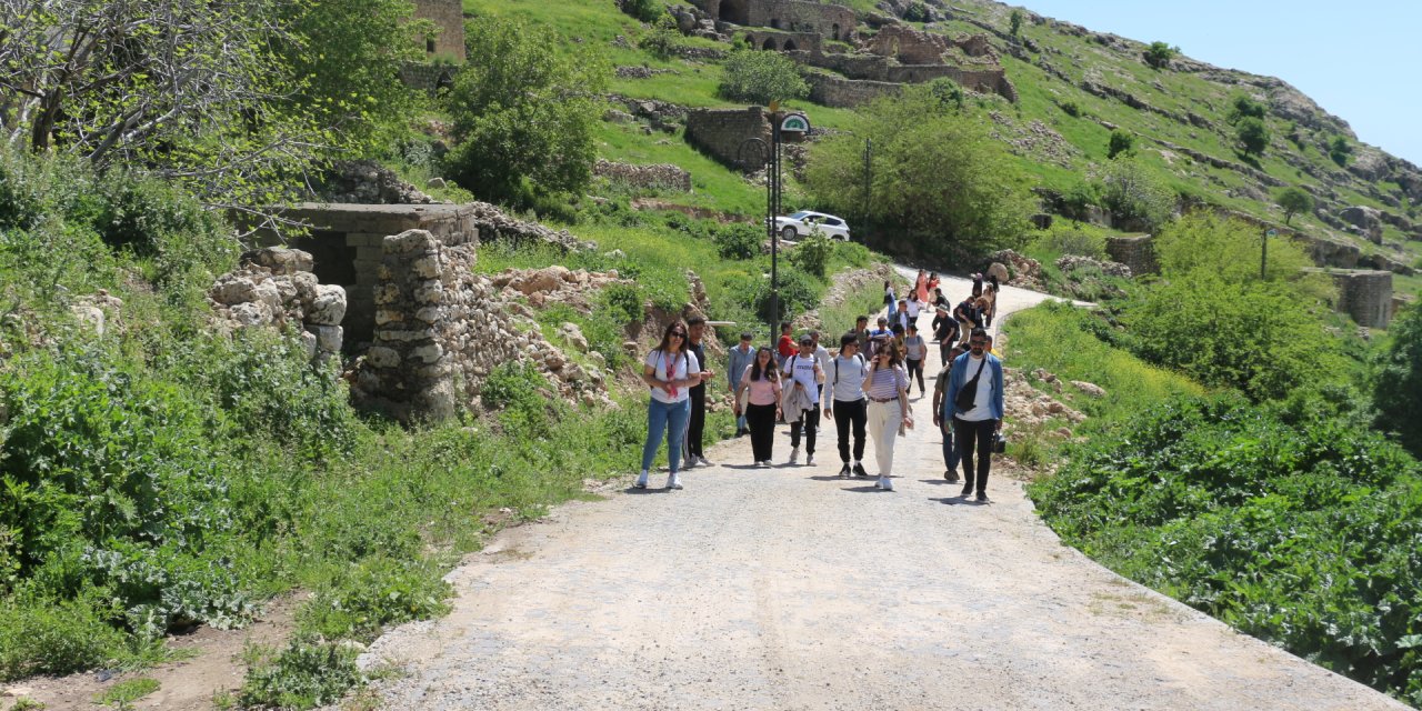 img-9447.jpg