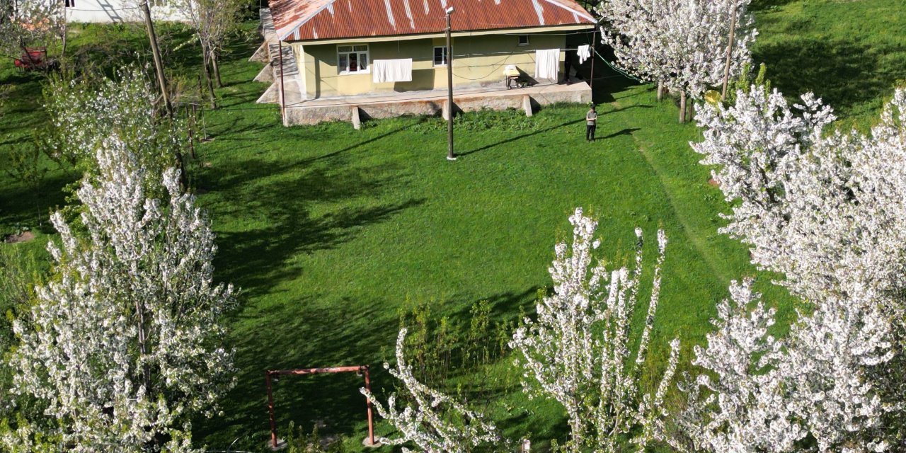 aw185517-01.jpg