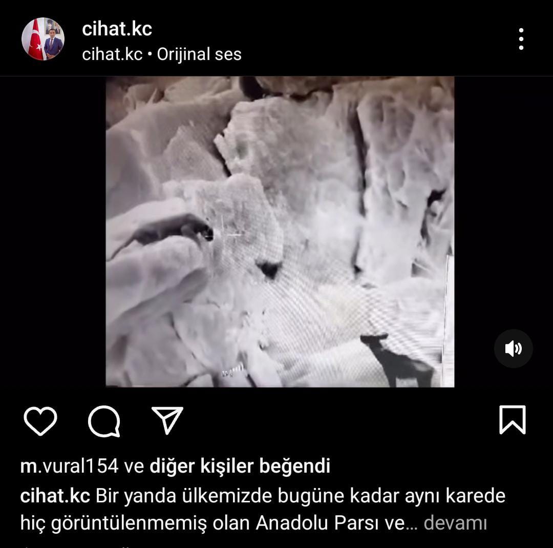 whatsapp-image-2024-05-24-at-16-54-36.jpeg