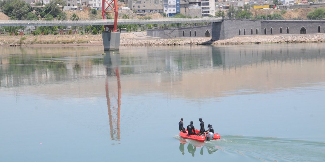 31699.jpg