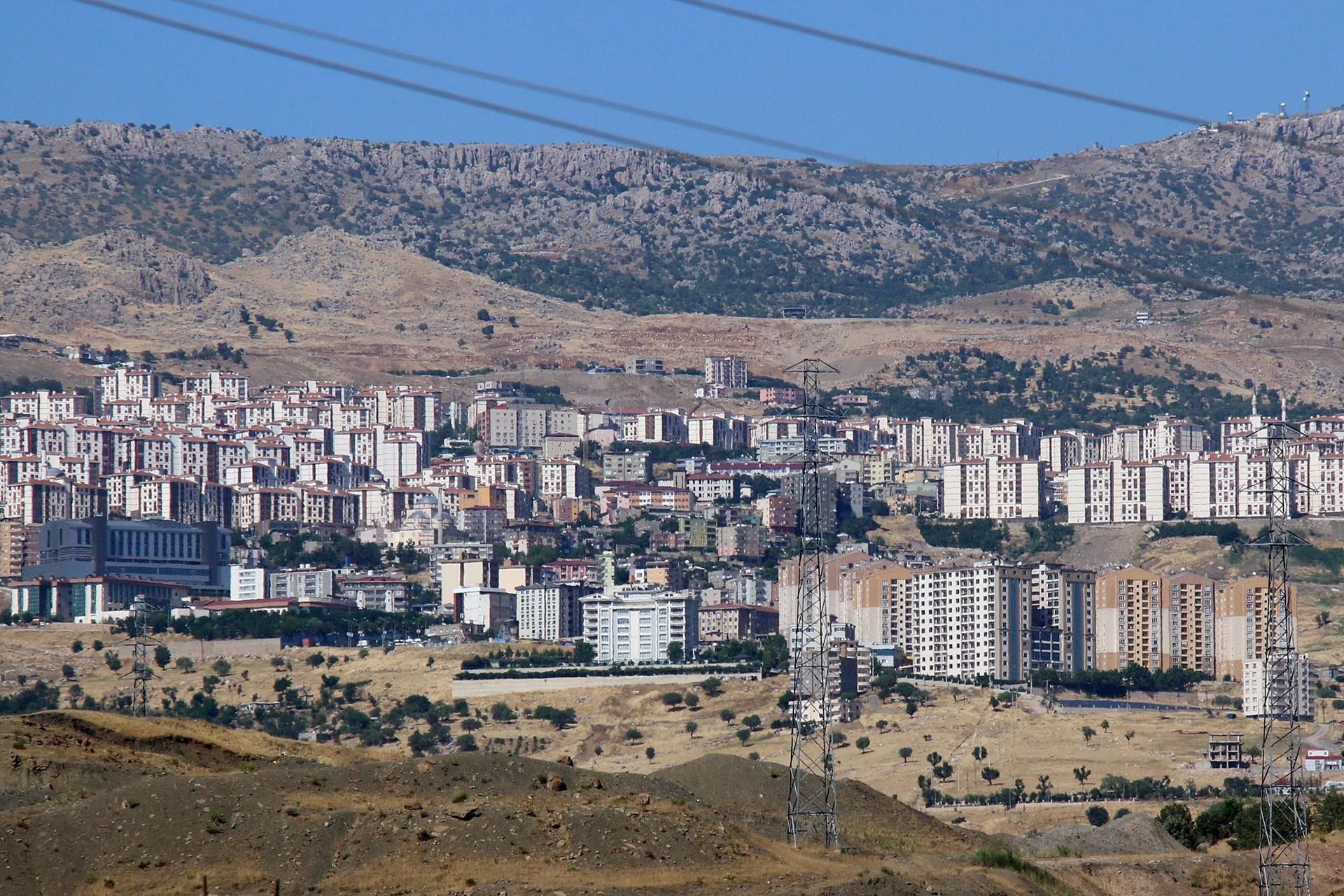 241460.jpg