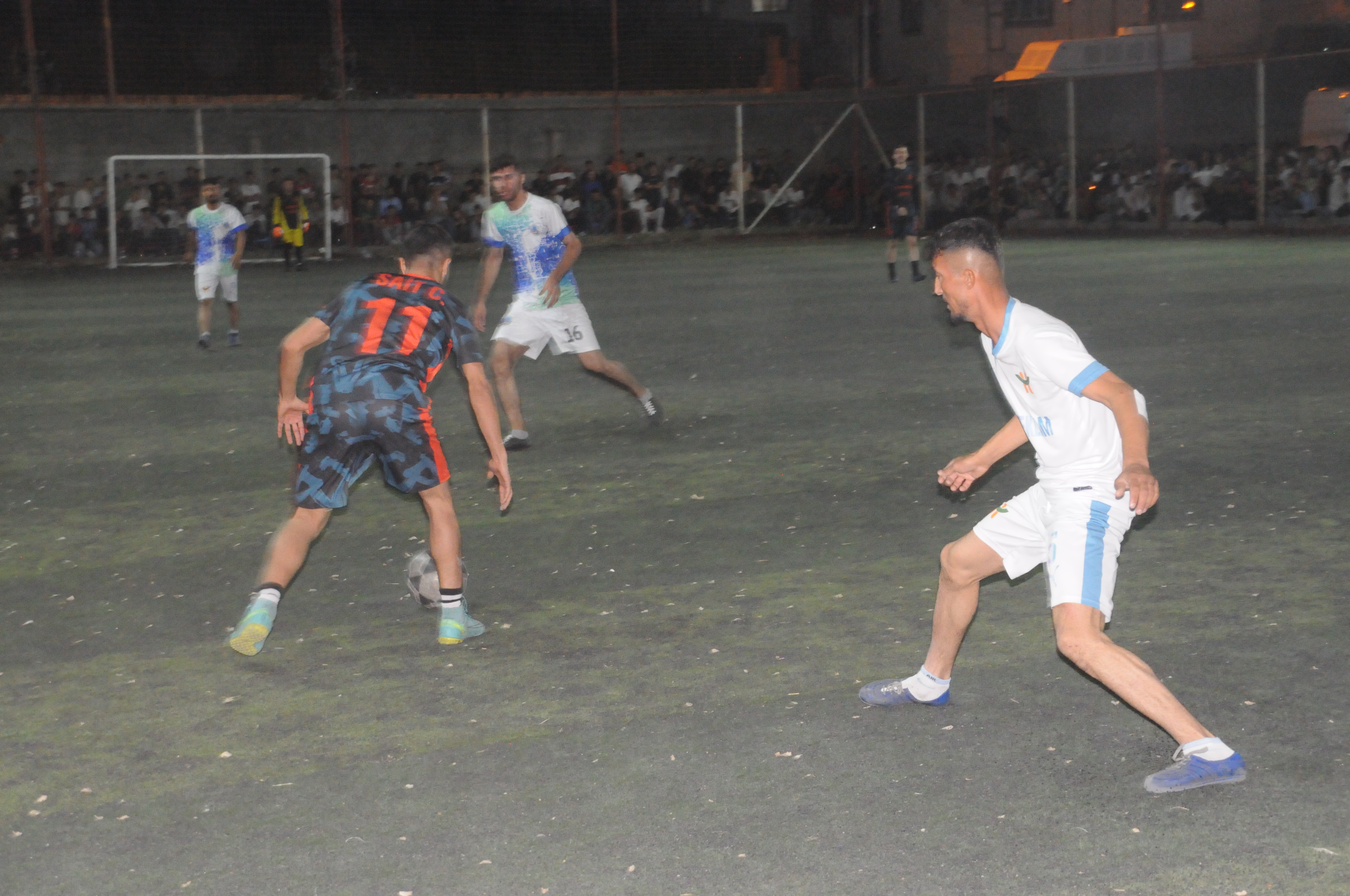 dsc-8905.jpg