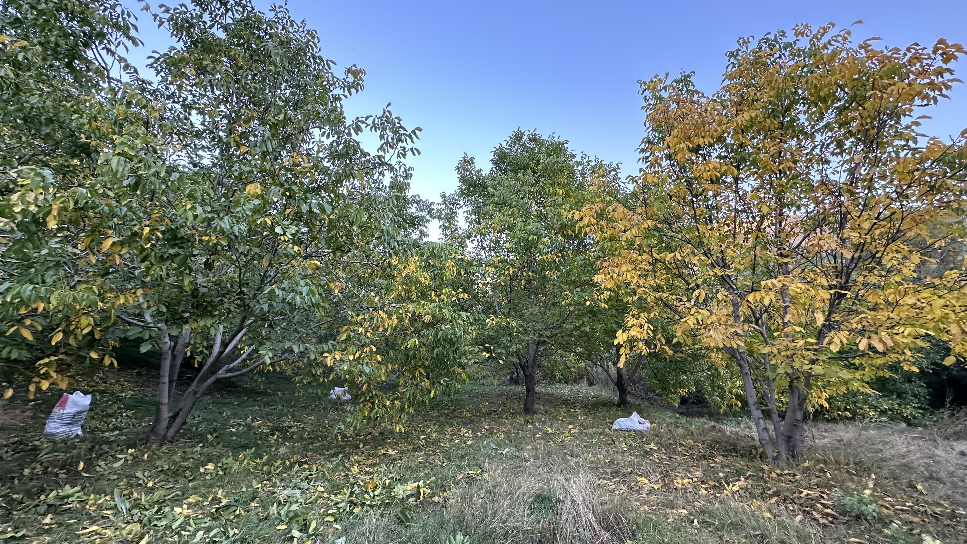 aw305173-05.jpg