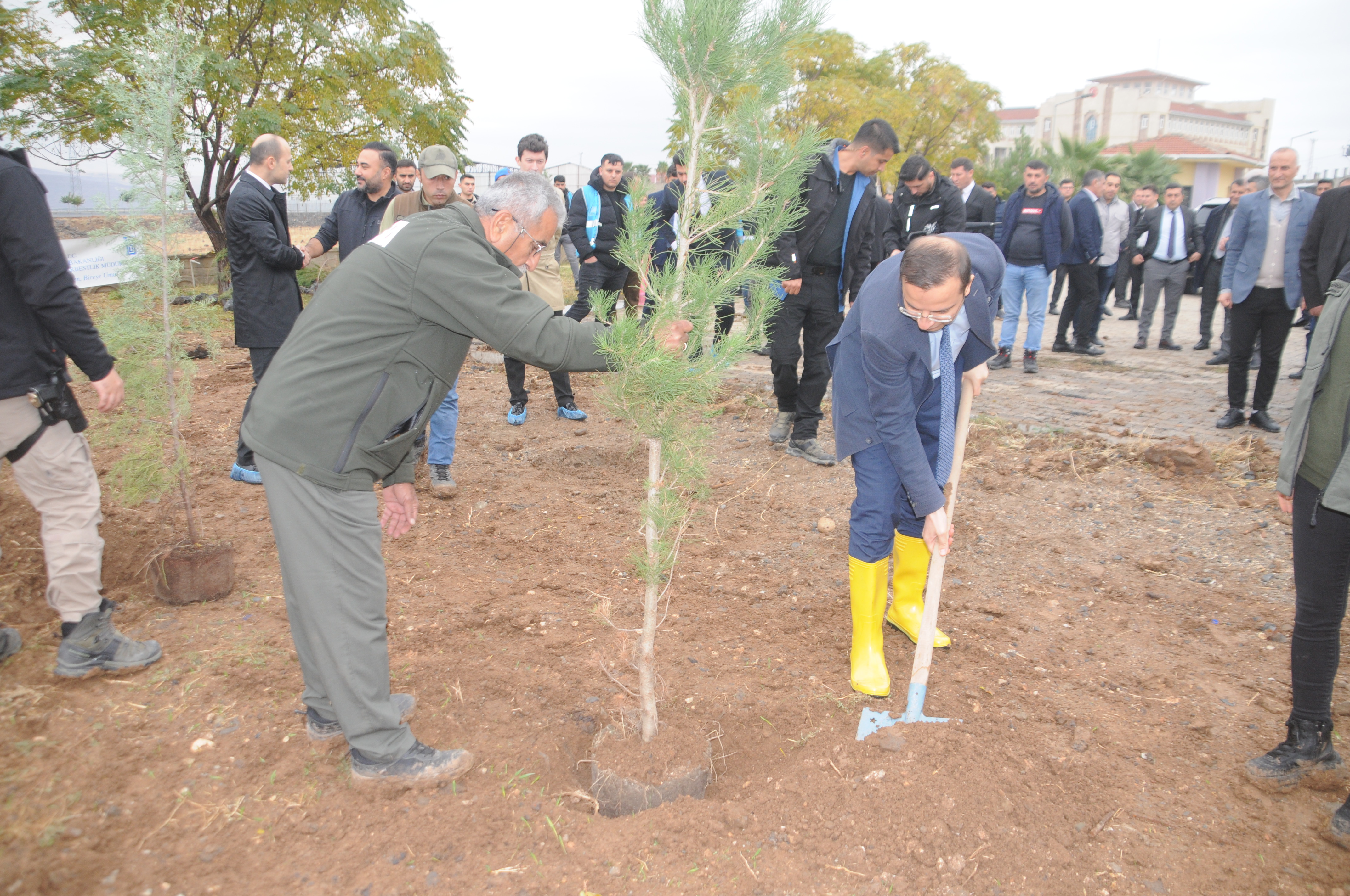 milli-agaclandirma-gununde-cizrede-fidanlar-toprakla-bulustu-1.jpg