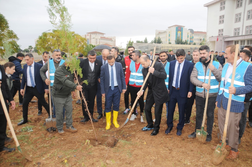 milli-agaclandirma-gununde-cizrede-fidanlar-toprakla-bulustu-5.jpg