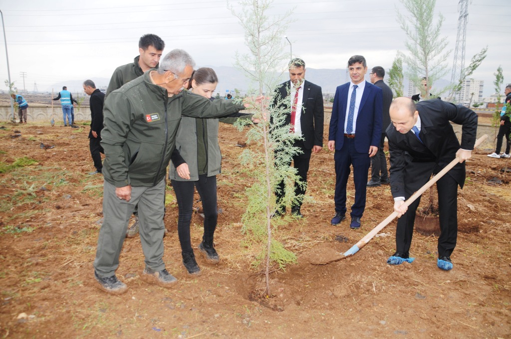 milli-agaclandirma-gununde-cizrede-fidanlar-toprakla-bulustu-7.jpg