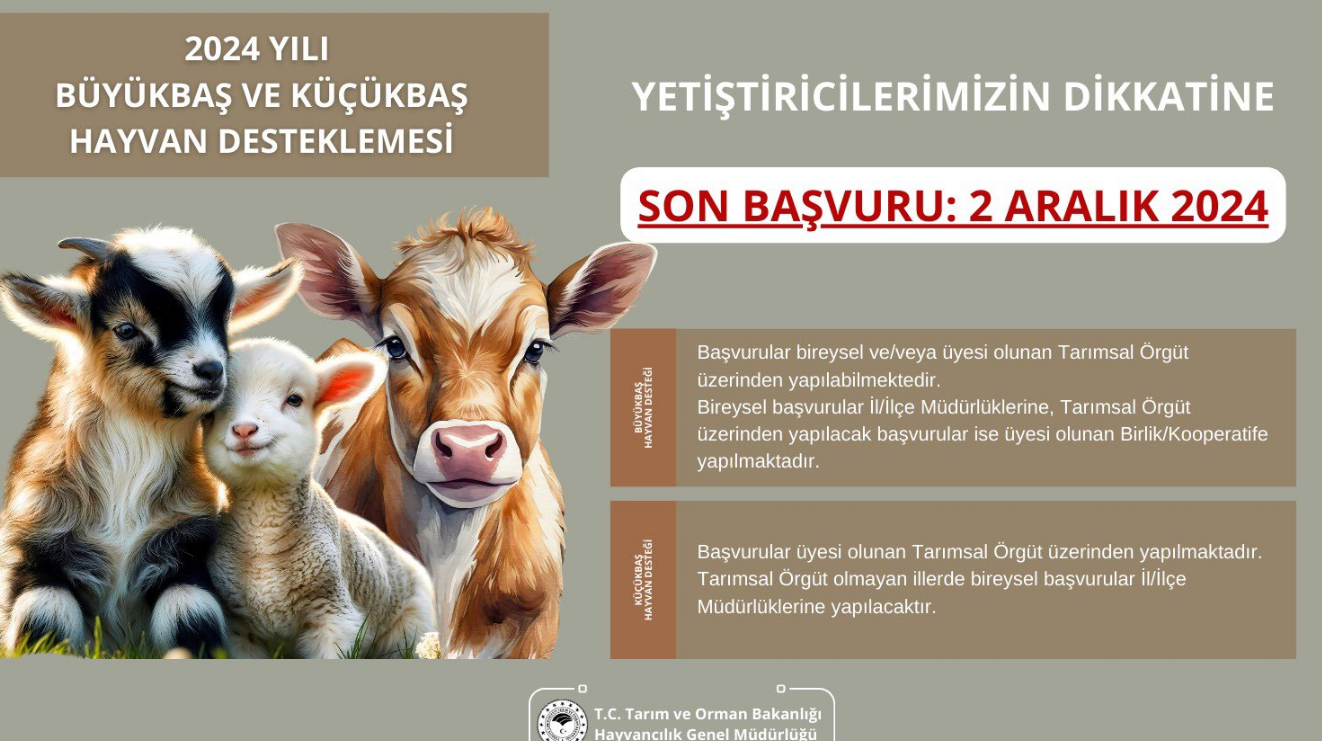 ekran-goruntusu-2024-11-29-000746.png