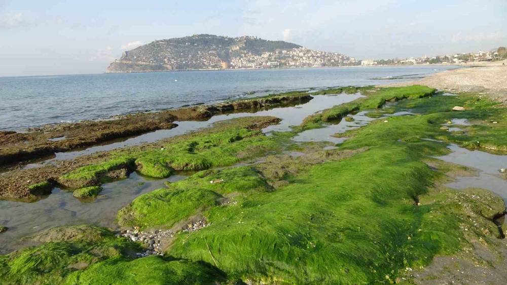Alanya’da deniz suyu 7-8 metre kadar çekildi