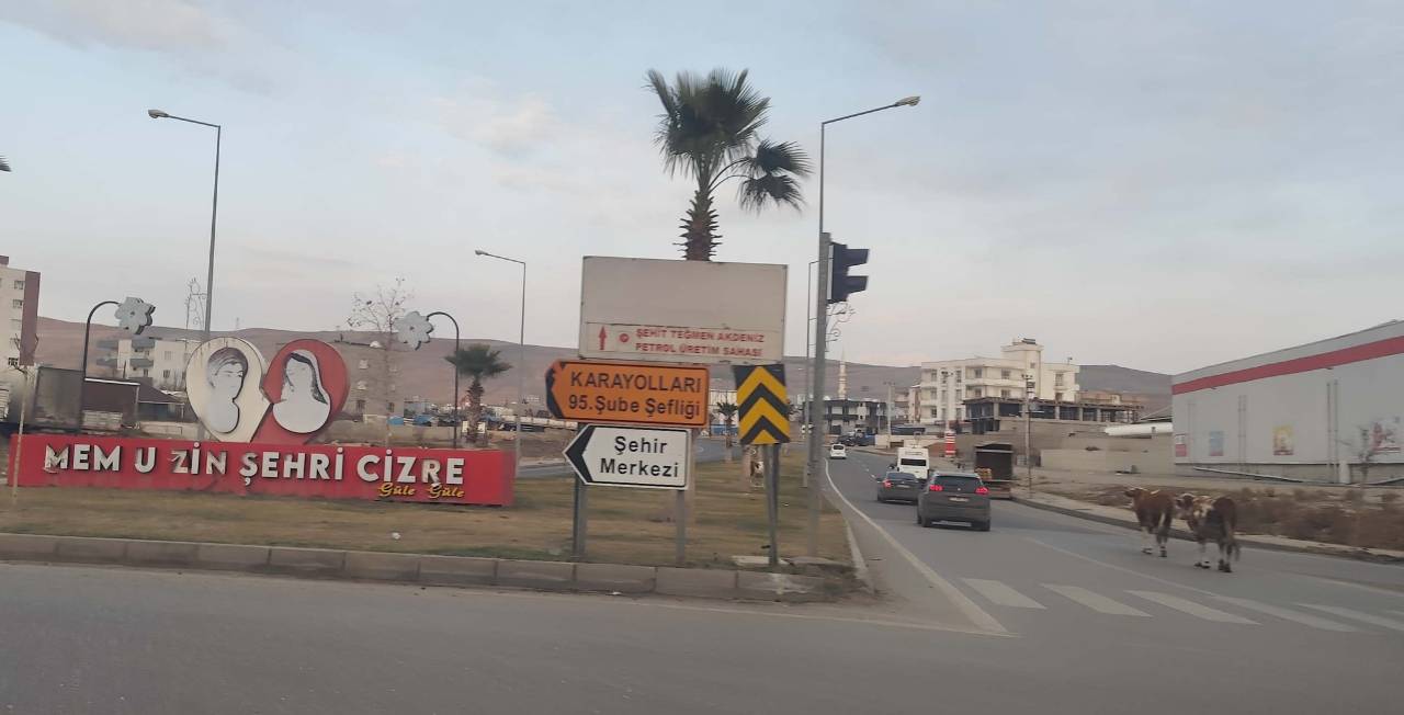 cizre-inek-2.jpeg