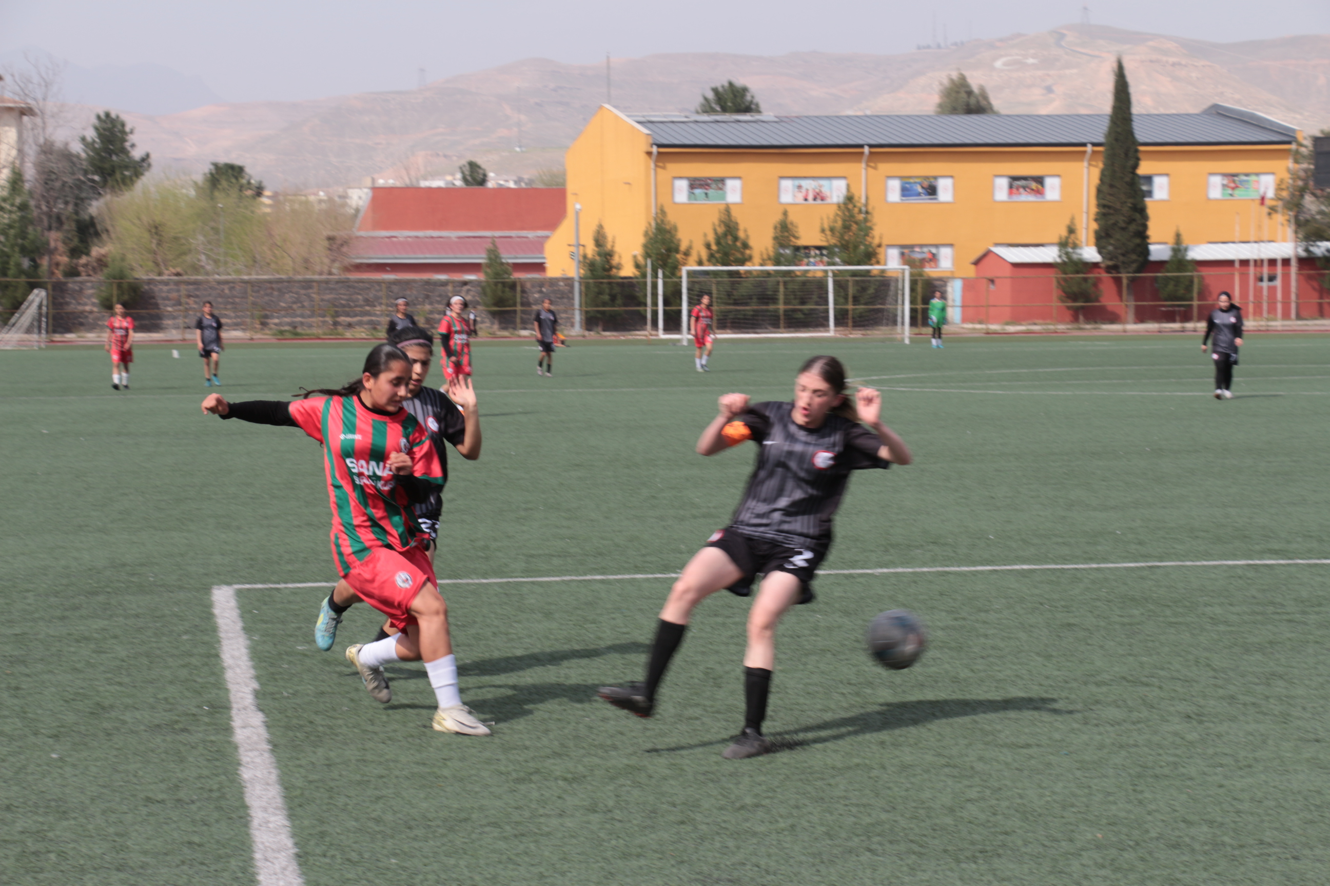 img-9777.jpg