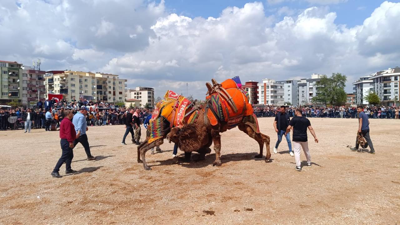 deve-guresi-1.jpg