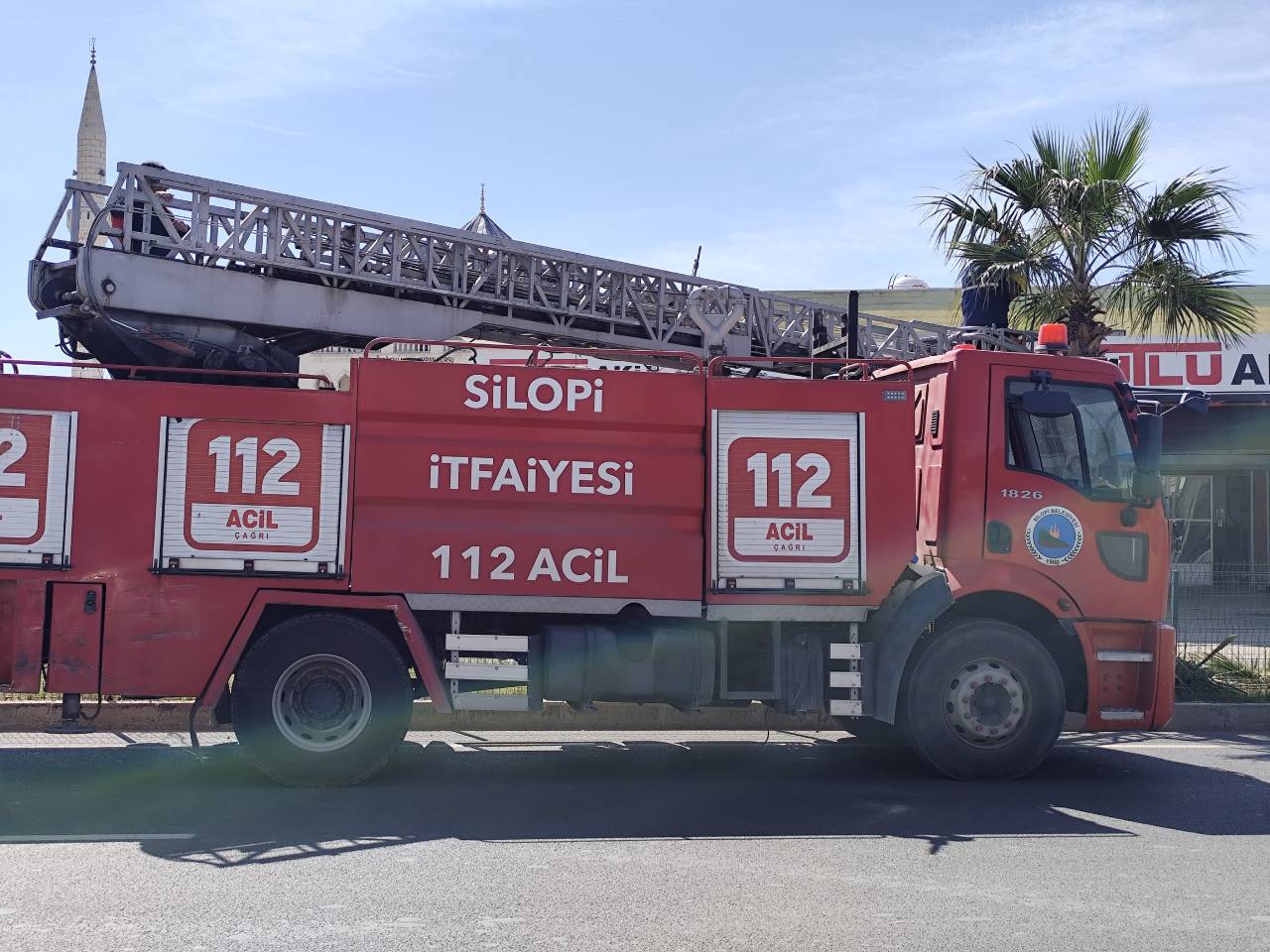 silopide-yaz-oncesi-palmiye-agaclarina-bakim-yapildi-2.jpeg