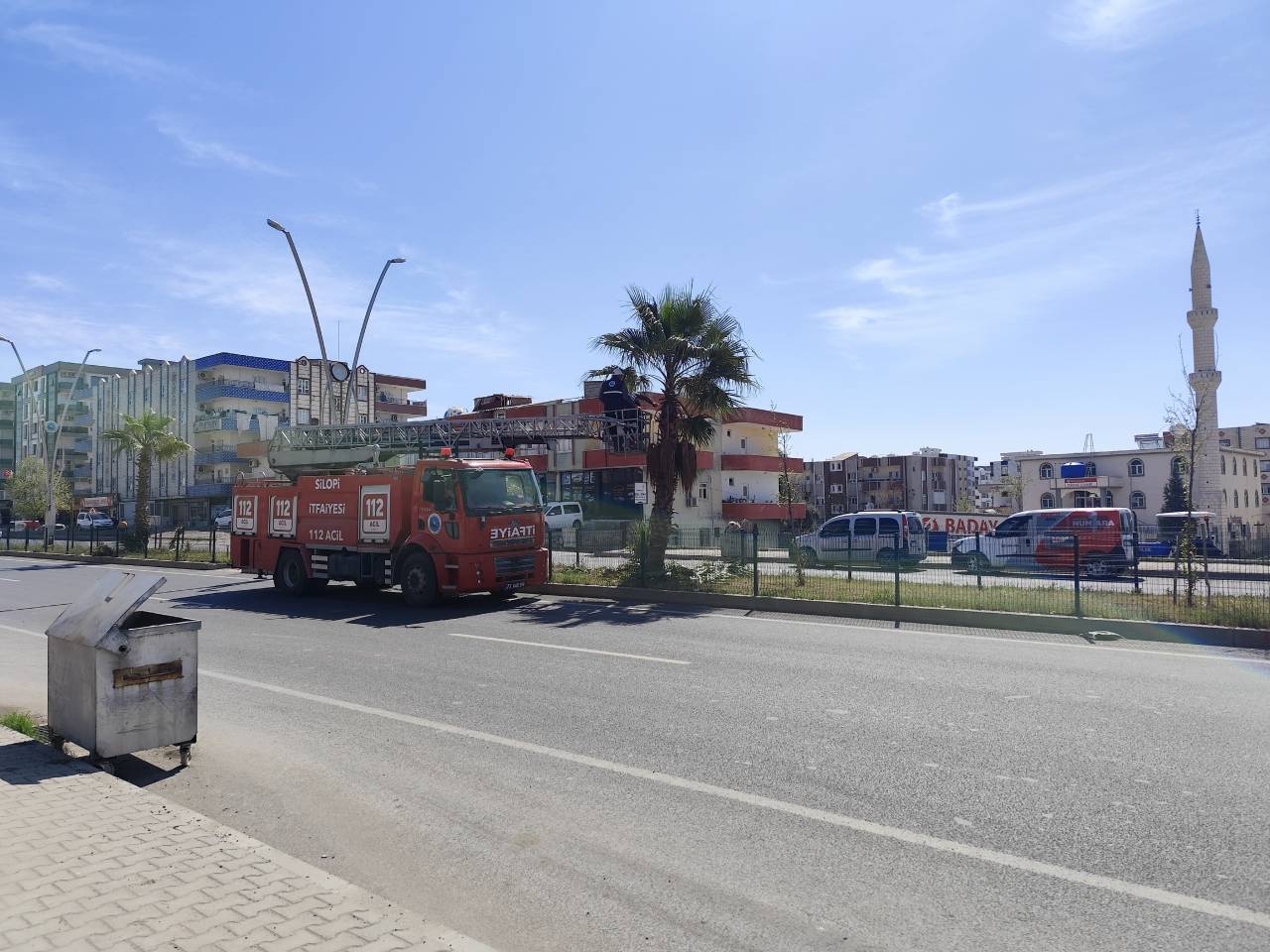 silopide-yaz-oncesi-palmiye-agaclarina-bakim-yapildi-3.jpeg
