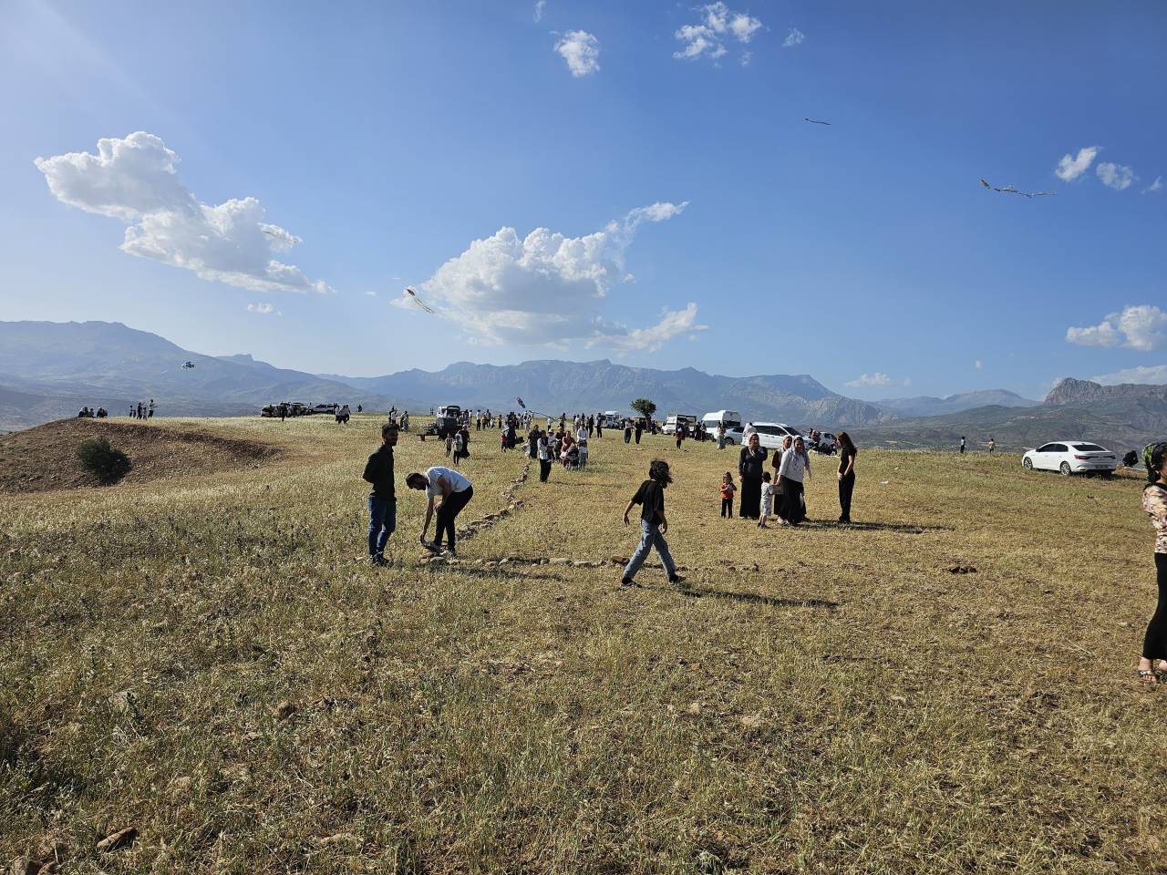 ikizce-koyunde-4-ucurtma-senligi-renkli-goruntulerle-gerceklesti-2.jpeg